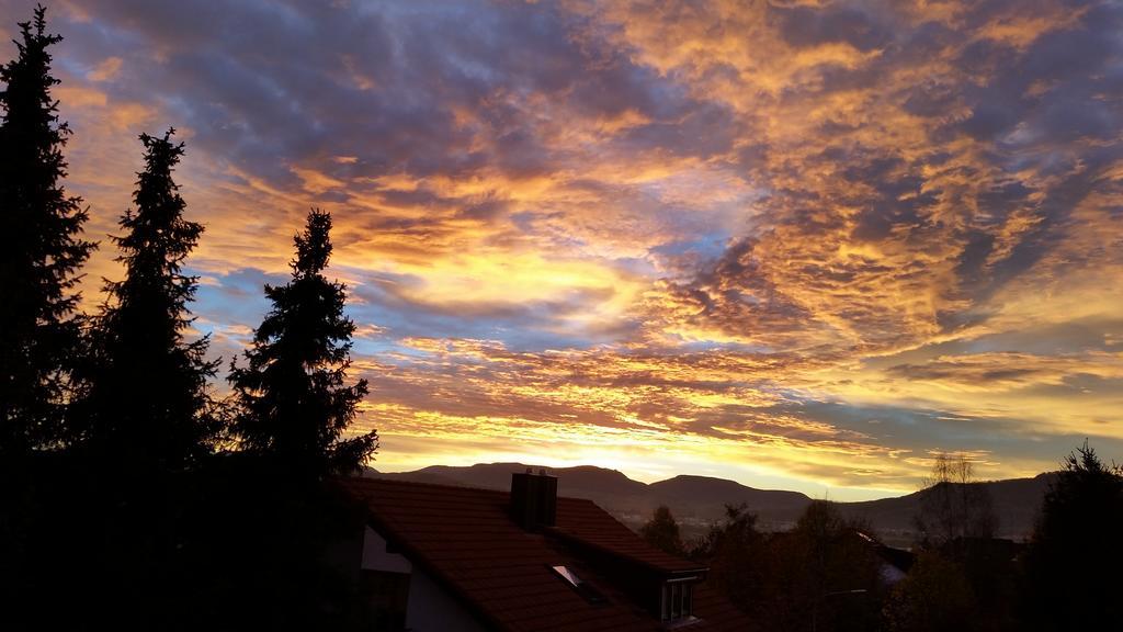 Haus Lindengarten Ofterdingen ภายนอก รูปภาพ